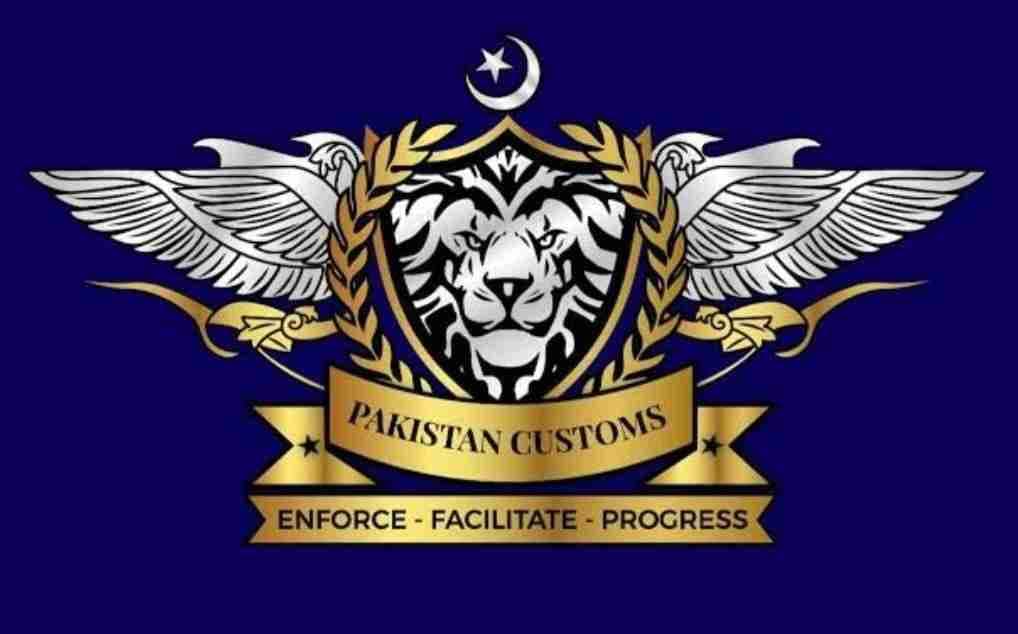 Customs Cricket Academy